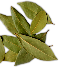 catering services in coimbatore