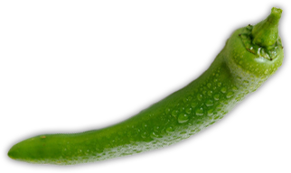 catering services in coimbatore