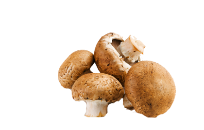 catering services in coimbatore