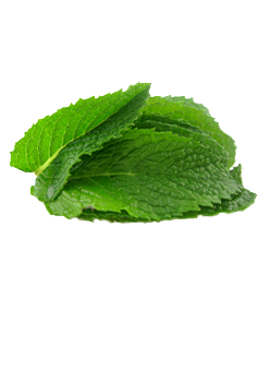 caterers in coimbatore