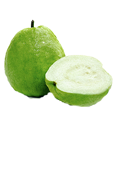 caterers in coimbatore