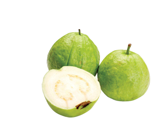 catering services in coimbatore