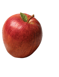 caterers in coimbatore