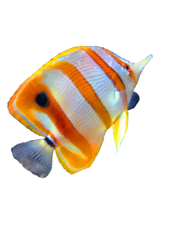 catering services in coimbatore