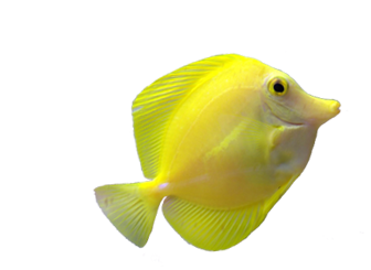 catering services in coimbatore