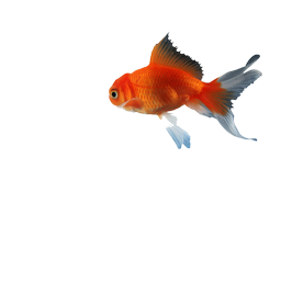 catering services in coimbatore