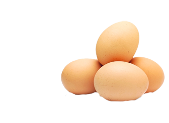 caterers in coimbatore