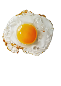 caterers in coimbatore