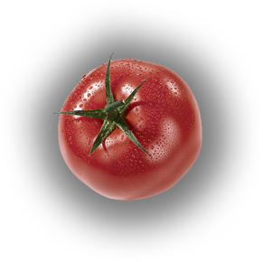 catering services in coimbatore