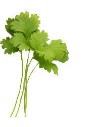 catering services in coimbatore