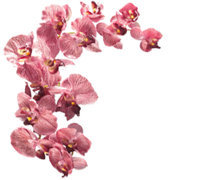 best catering services