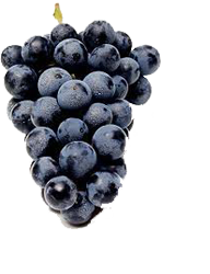 catering services in coimbatore