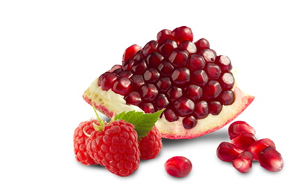 best catering services