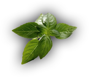 Catering services in coimbatore