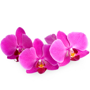 best catering services