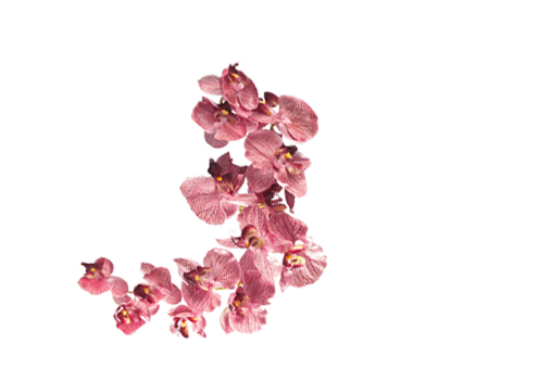 best catering services