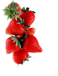 best catering services