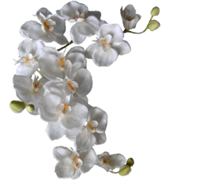 caterers in coimbatore