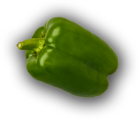 Catering services in coimbatore