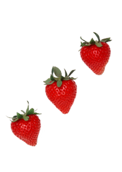 caterers in coimbatore