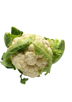 caterers in coimbatore