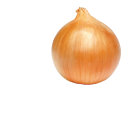 catering services in coimbatore