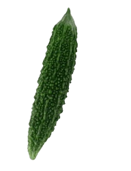 catering services in coimbatore