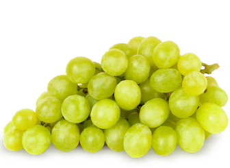 caterers in coimbatore