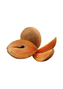 caterers in coimbatore