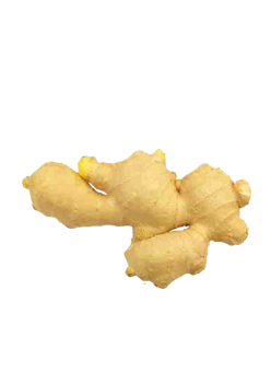 catering services in coimbatore