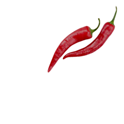 catering services in coimbatore