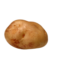 catering services in coimbatore