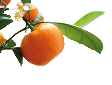 catering services in coimbatore