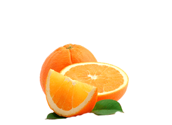 catering services in coimbatore