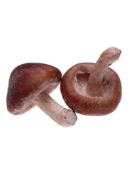 catering services in coimbatore