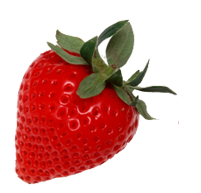 catering services in coimbatore