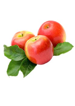 caterers in coimbatore