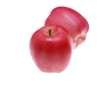 caterers in coimbatore