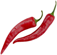 Catering services in coimbatore