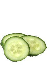 caterers in coimbatore