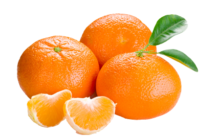 caterers in coimbatore