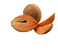 catering services in coimbatore