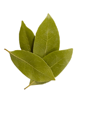 catering services in coimbatore