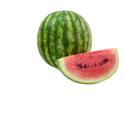 caterers in coimbatore