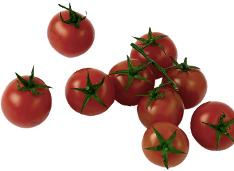 Catering services in coimbatore