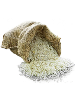 catering services in coimbatore