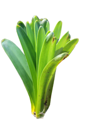 caterers in coimbatore