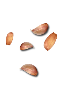 catering services in coimbatore