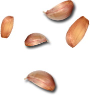 Catering services in coimbatore