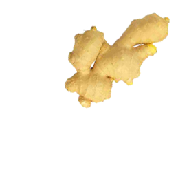 catering services in coimbatore